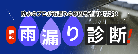 雨漏り診断