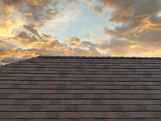 シングルアルマ