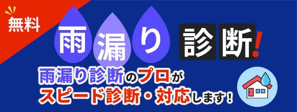 雨漏り診断